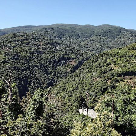 Theta Hotel Pelion Áyios Dhimítrios Zewnętrze zdjęcie