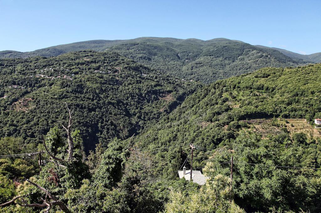 Theta Hotel Pelion Áyios Dhimítrios Zewnętrze zdjęcie